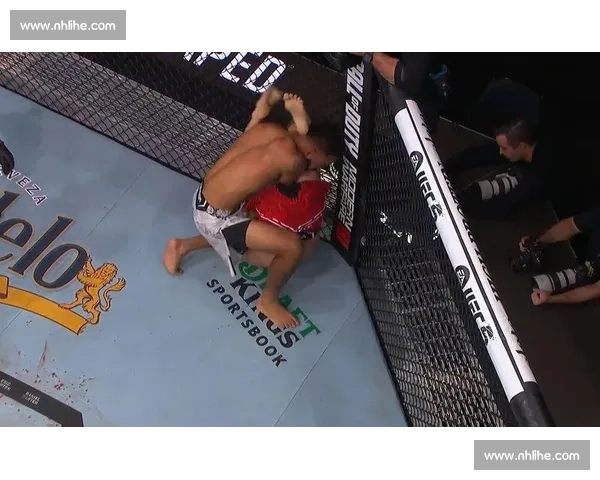 UFC 321 爆冷：克莱因多数判定终结瑞贝斯基 16 连胜